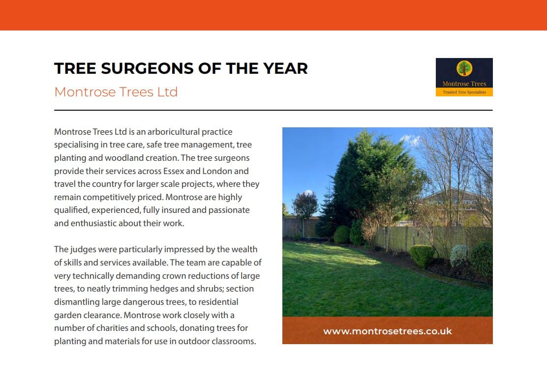 Tree Surgeons of the Year