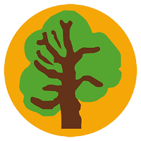  Committed Tree Surgeon, Enthusiastic and Knowledgeable.